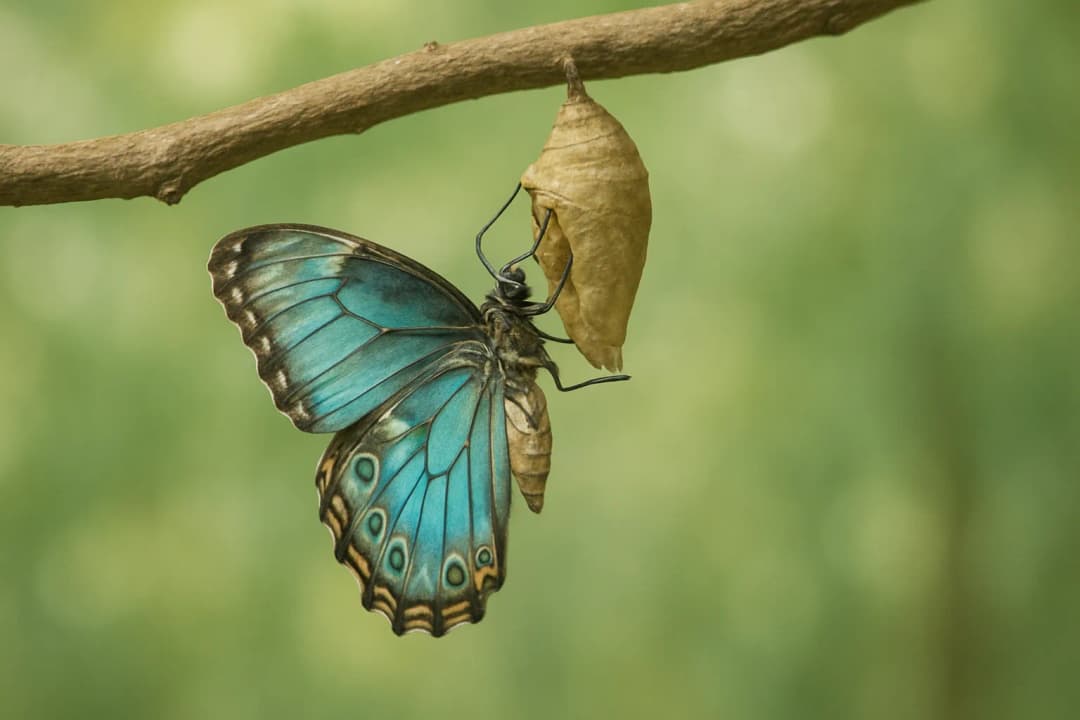 6 Transformative Insights About Eating Disorders that Could Help Others