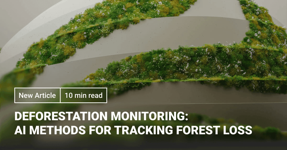 Deforestation Monitoring: AI Methods for Tracking Forest Loss